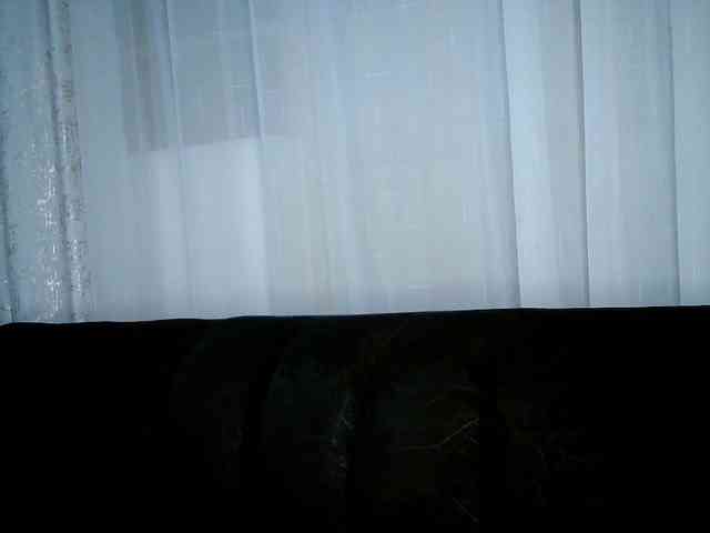 QueenB2 webcam