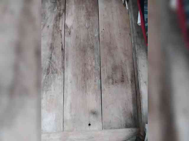 Lina1234 webcam