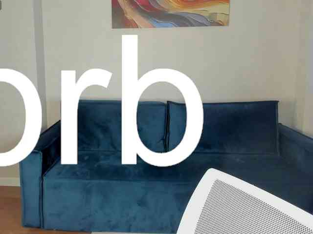 Wullwet-rav webcam