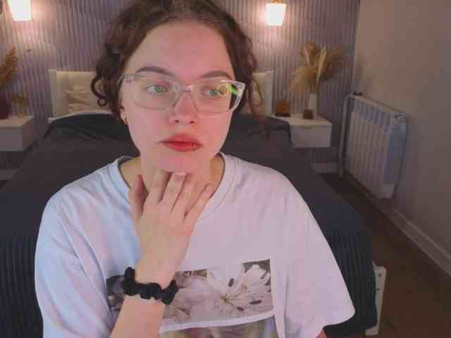 Wullwet-rav webcam
