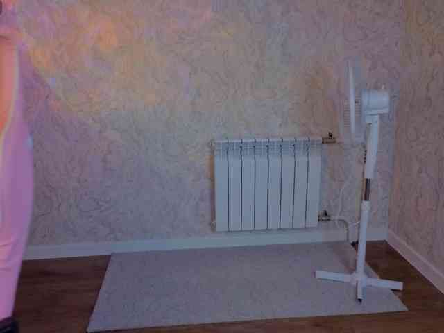 Wullwet-rav webcam