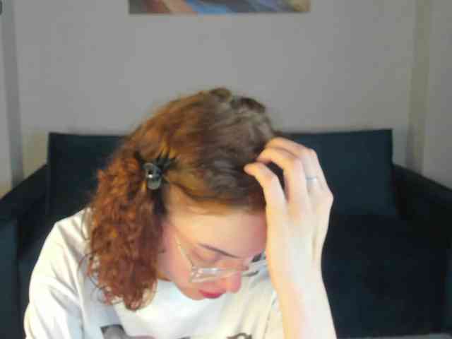 Wullwet-rav webcam
