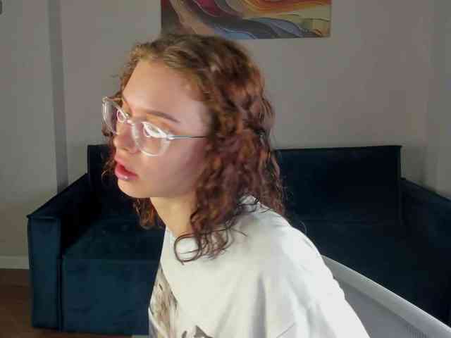 Wullwet-rav webcam