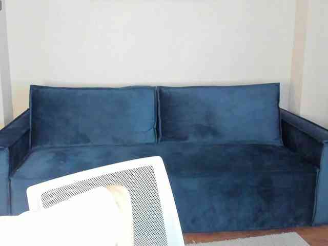 Wullwet-rav webcam