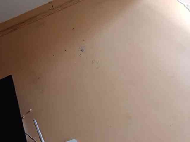 Moonoir webcam
