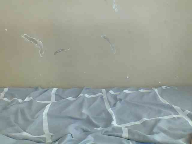 Spicedpussy webcam