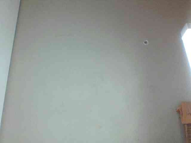 Spicedpussy webcam