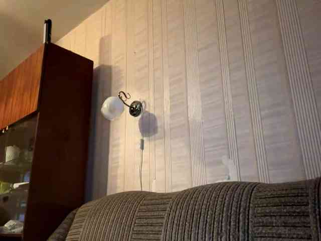 ShawneeBayton webcam