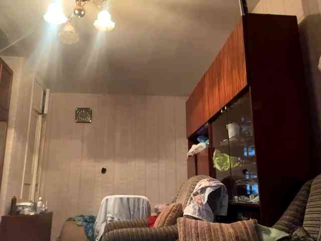 ShawneeBayton webcam
