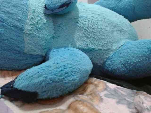 AnaSEXXX