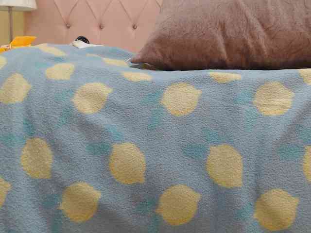 AnaSEXXX webcam