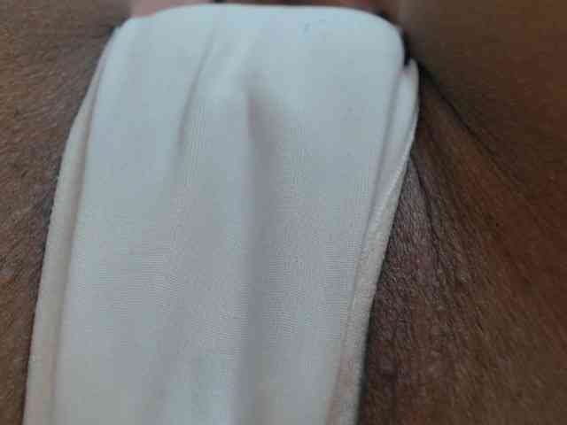 AnaSEXXX