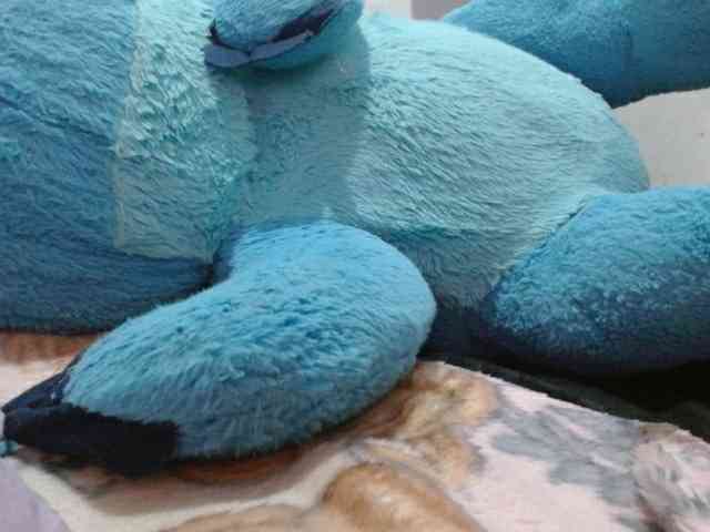AnaSEXXX webcam