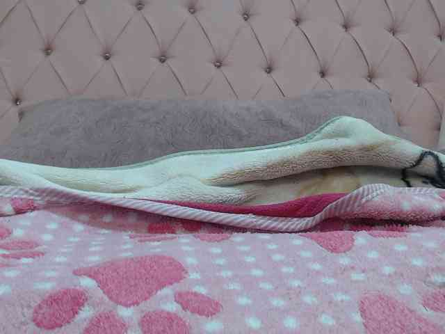 AnaSEXXX webcam