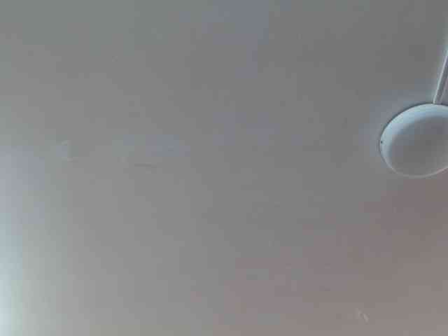 AnaSEXXX webcam