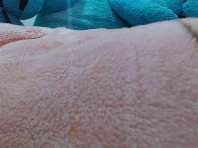 AnaSEXXX webcam