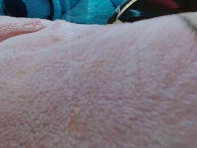 AnaSEXXX webcam