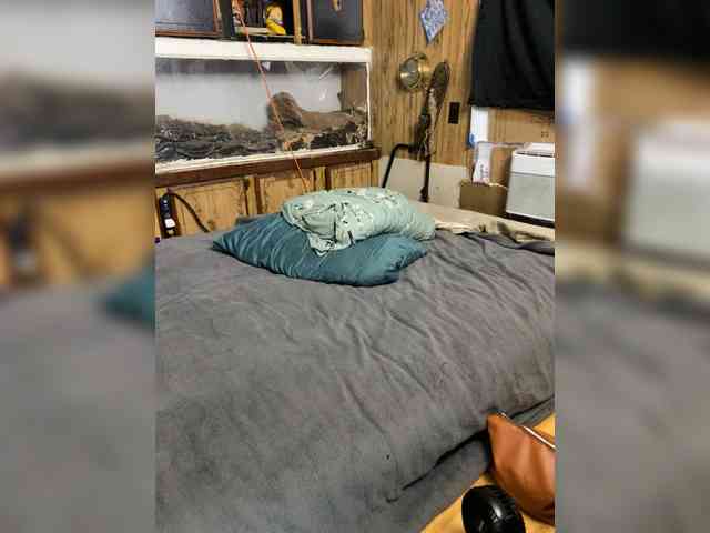 Alanahsinns Sex Cam Show
