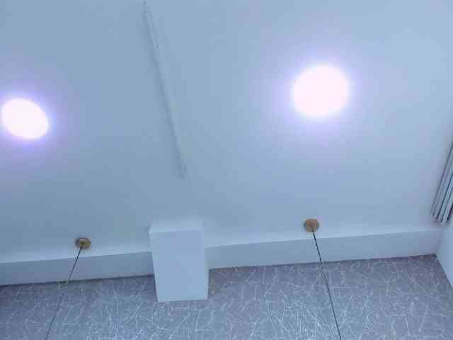 AbbyCarteer webcam