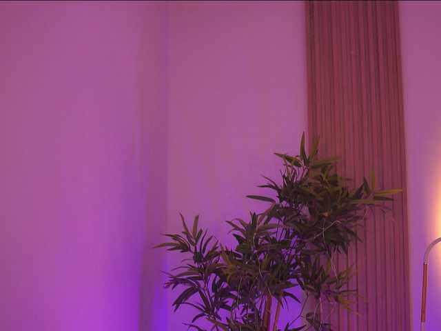 AdaSol live cam on BongaCams