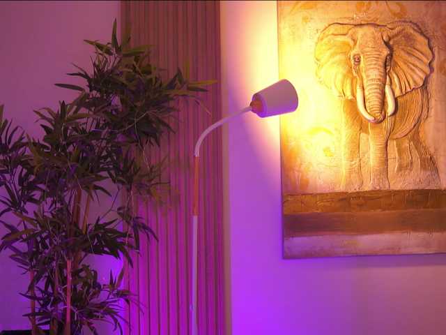 AdaSol live cam on BongaCams