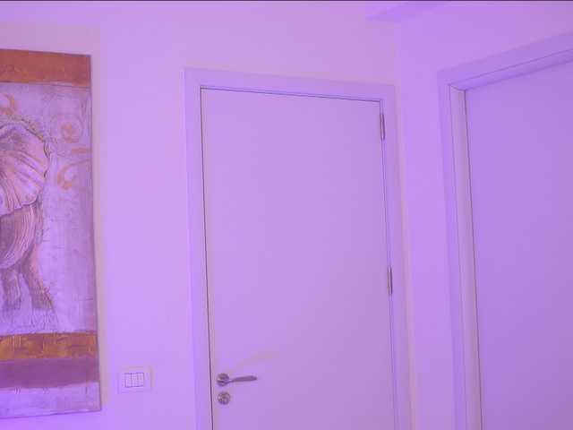 AdaSol live cam on BongaCams