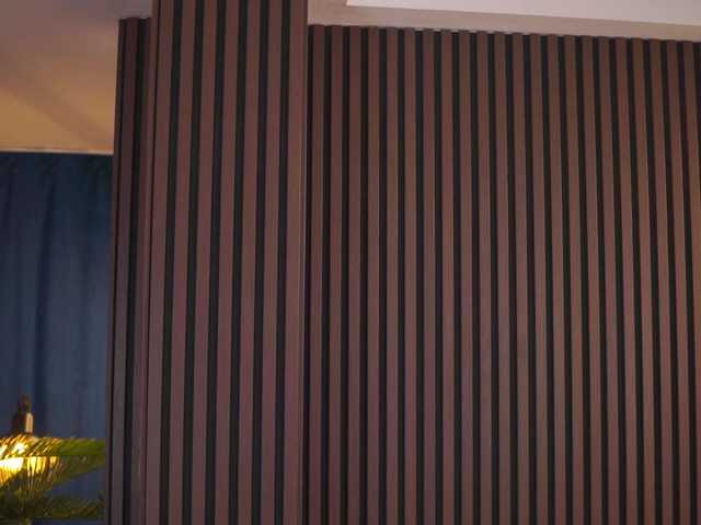 AdaSol live cam on BongaCams