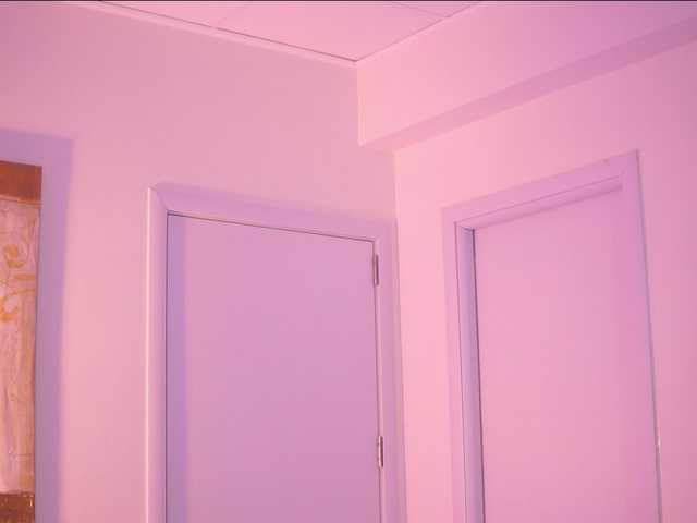 AdaSol live cam on BongaCams