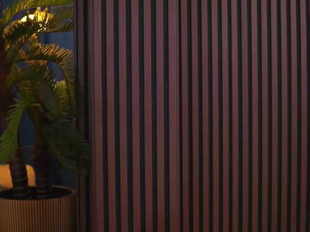 AdaSol live cam preview