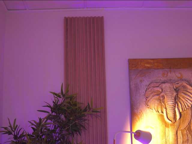 AdaSol live cam on BongaCams