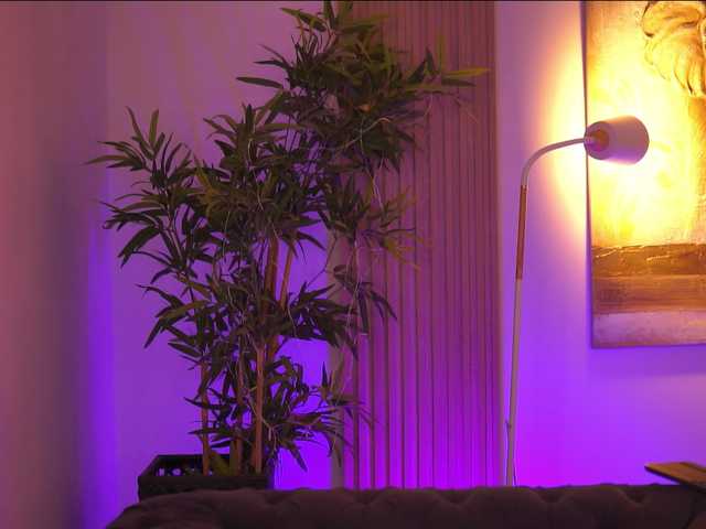 AdaSol live cam on BongaCams