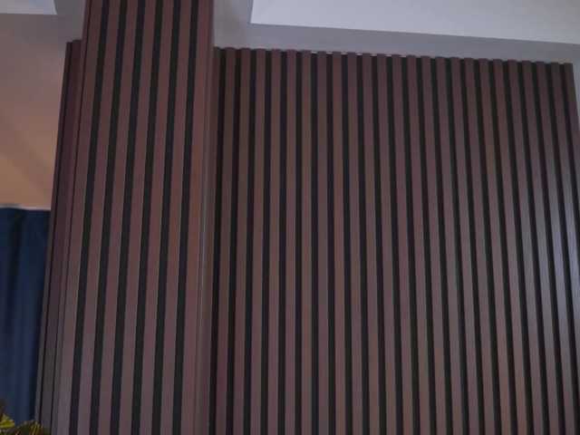 AdaSol live cam on BongaCams