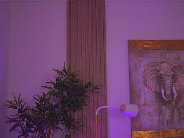 AdaSol live cam on BongaCams