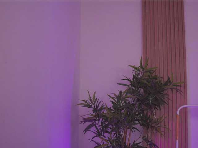 AdaSol live cam on BongaCams