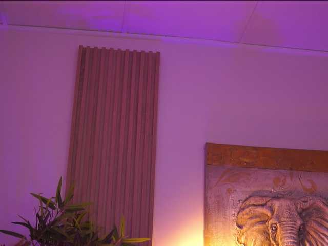 AdaSol live cam on BongaCams