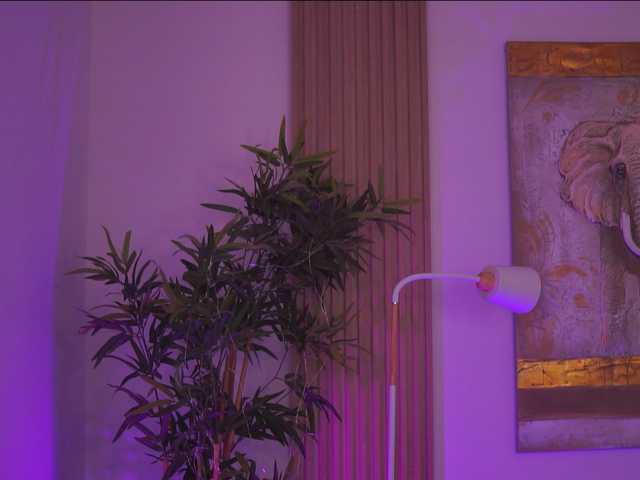 AdaSol live cam on BongaCams