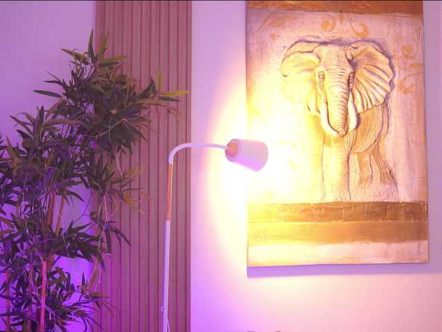 AdaSol live cam on BongaCams