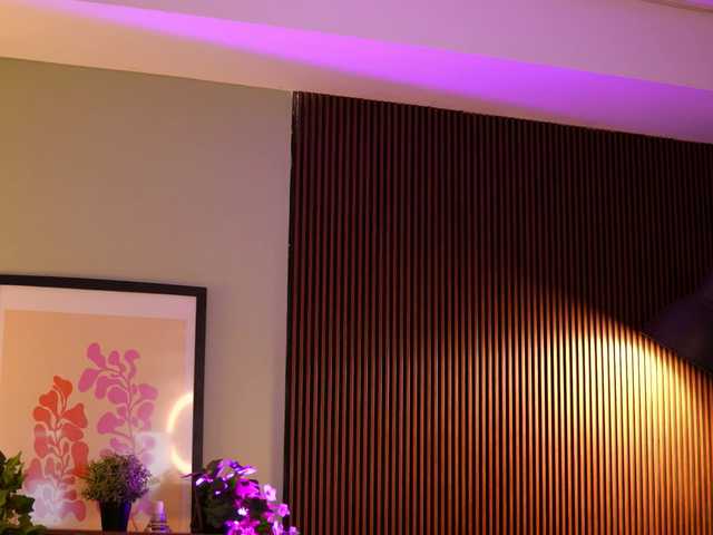 AdaSol live cam on BongaCams