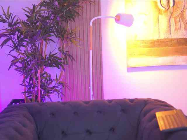AdaSol webcam