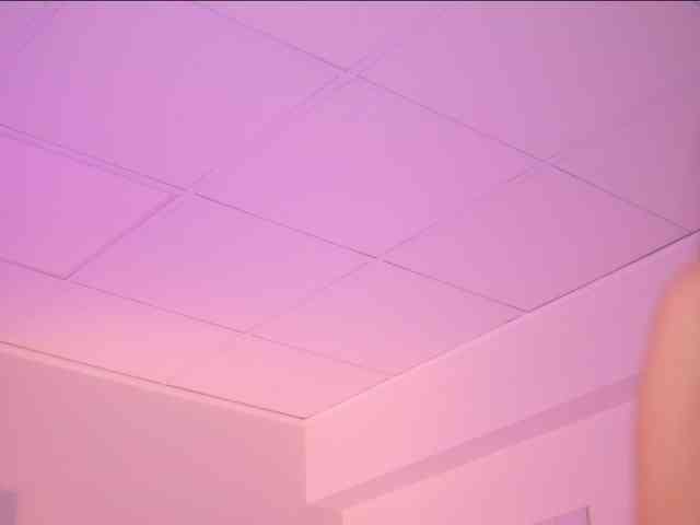 AdaSol webcam