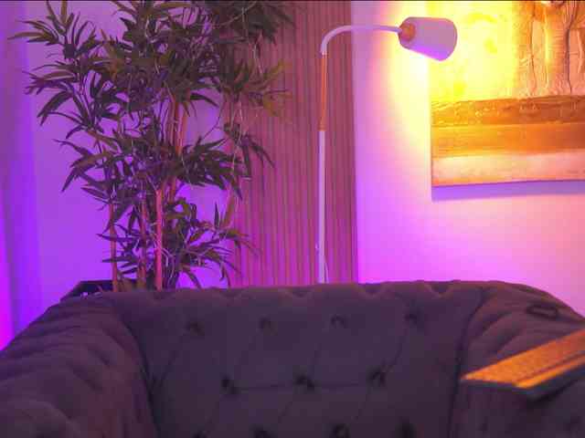 AdaSol webcam