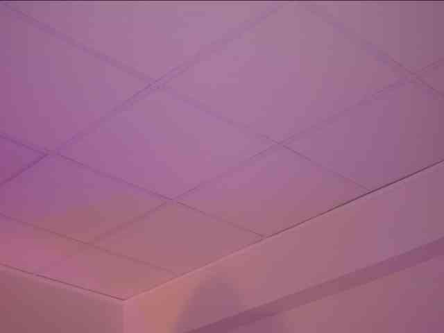 AdaSol webcam