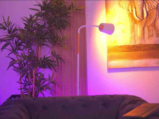 AdaSol webcam