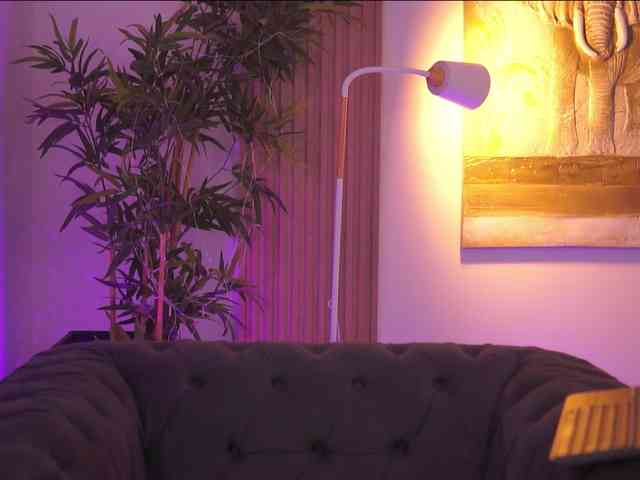 AdaSol webcam