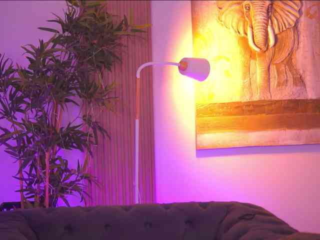 AdaSol webcam
