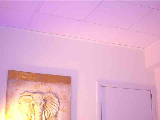 AdaSol webcam