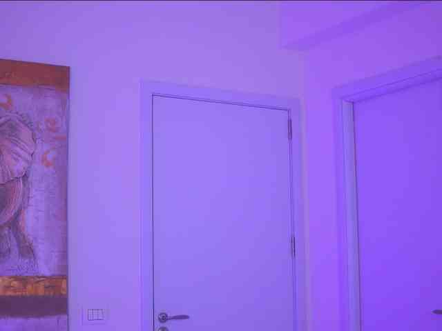 AdaSol webcam