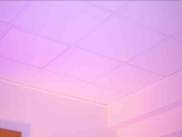 AdaSol webcam