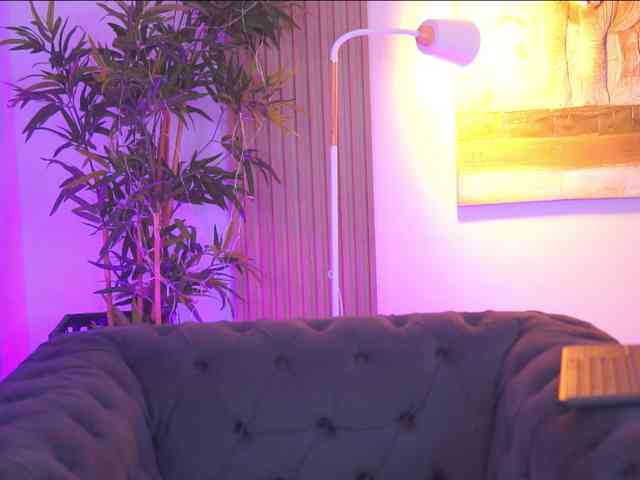 AdaSol webcam