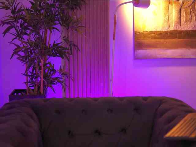 AdaSol webcam